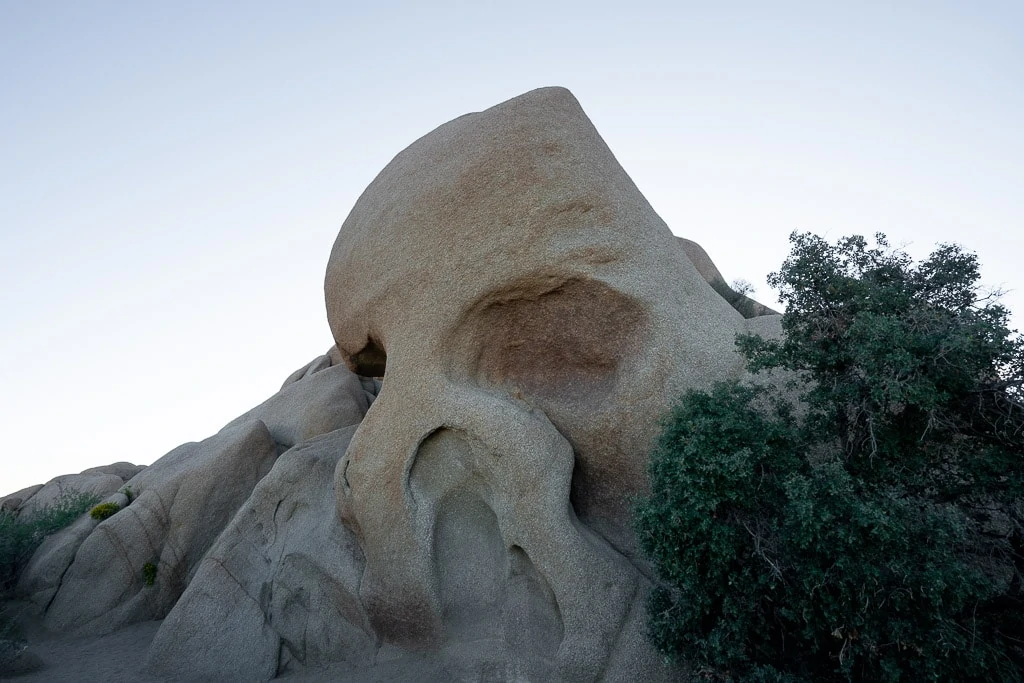 Skull Rock Joshua Tree National Park