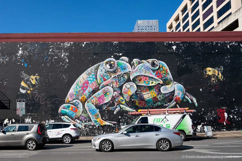 Houston Toad Mural Best Murals in Austin