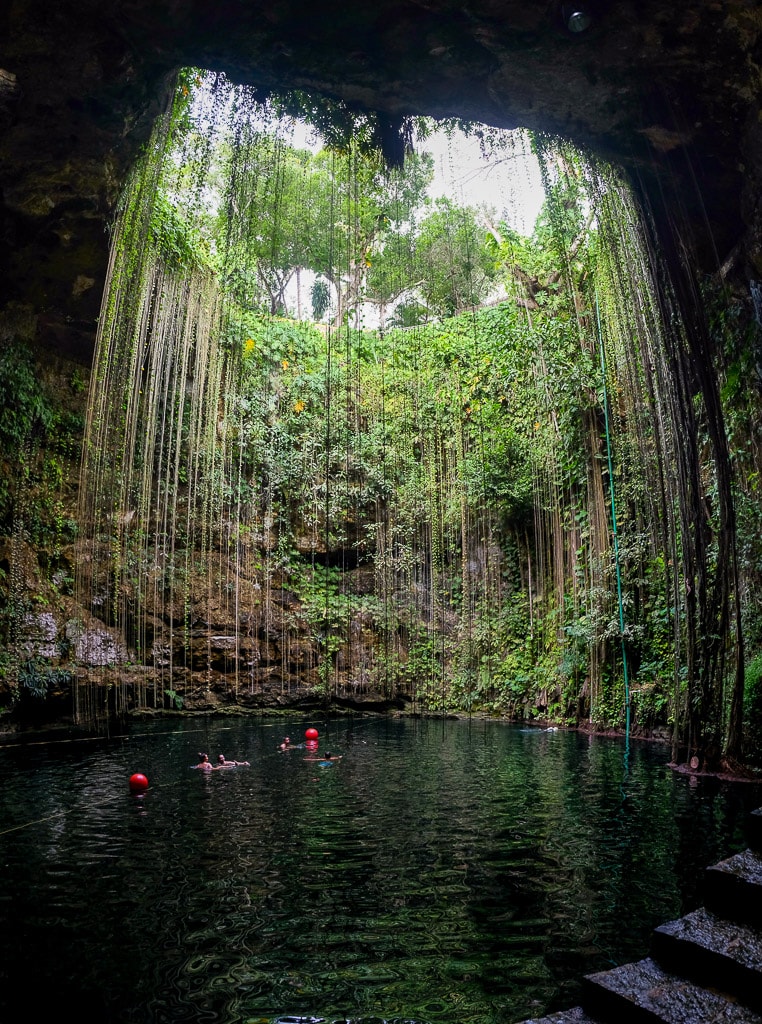 17 Best Cenotes Near Cancun (2024) The Whole World Is A Playground