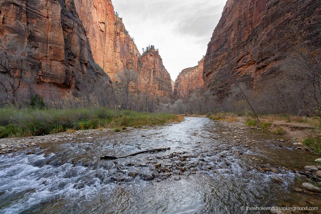 Where to Stay in Zion National Park