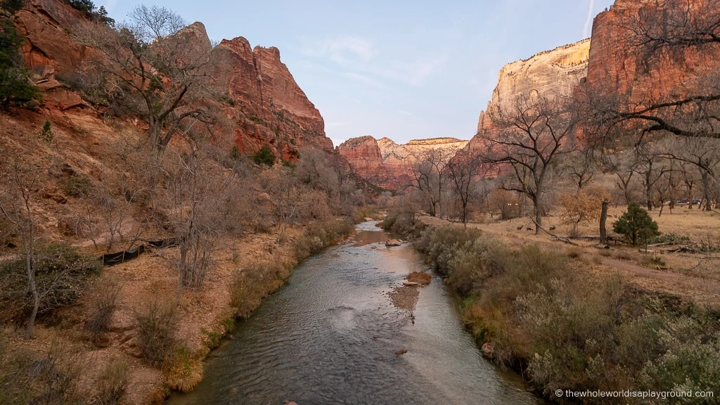 Where to Stay in Zion National Park