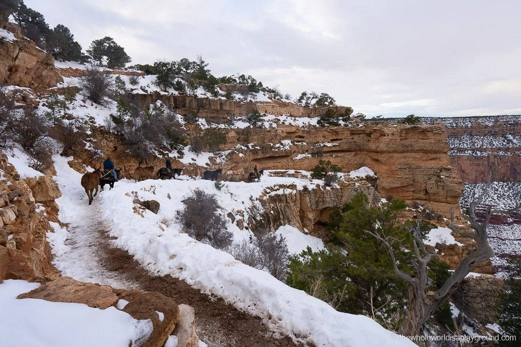 Things to do Grand Canyon