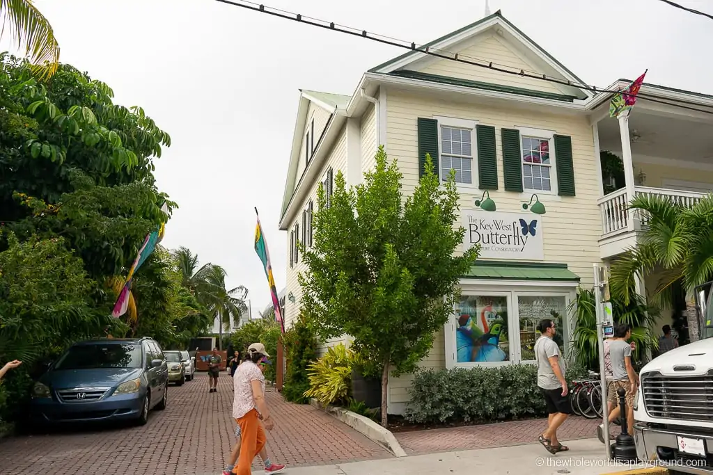 Things to do in Key West Florida