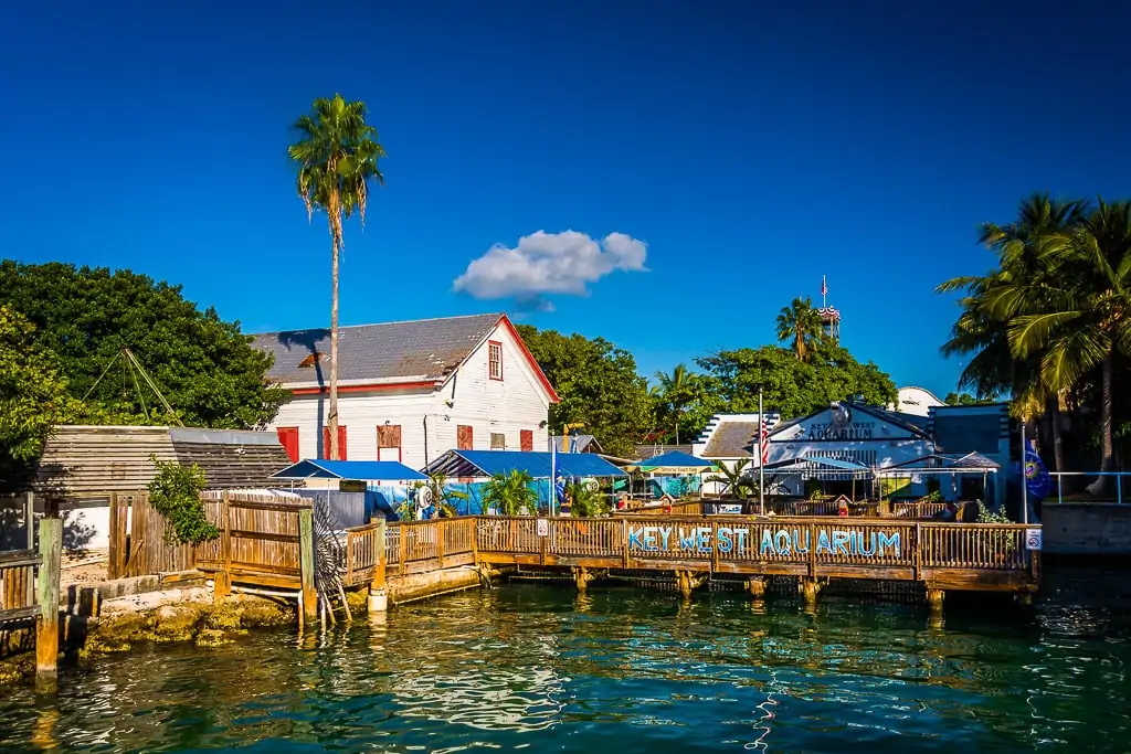 Things to do in Key West Florida