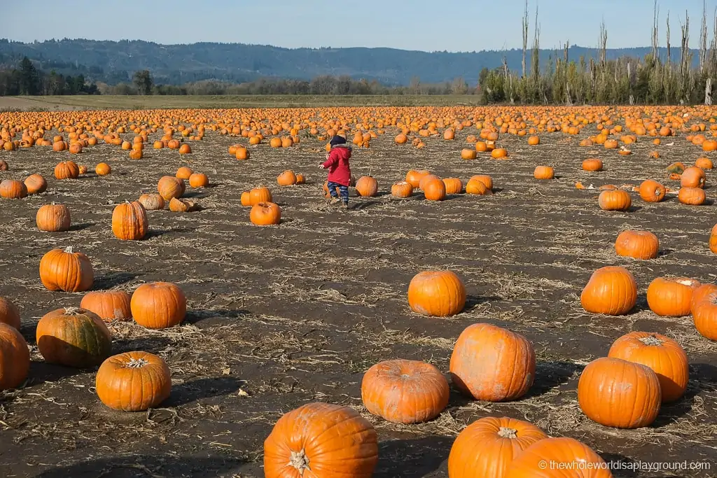 Best Day Trips from Portland