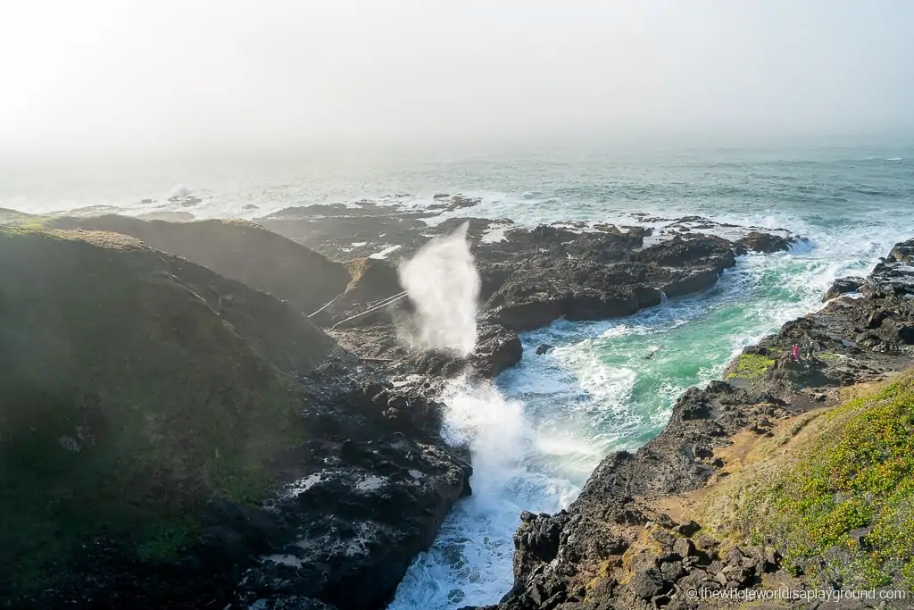 Oregon Coast Road Trip Itinerary