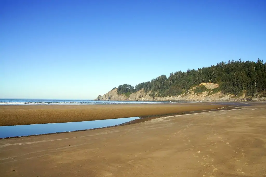Things to do at Cannon Beach