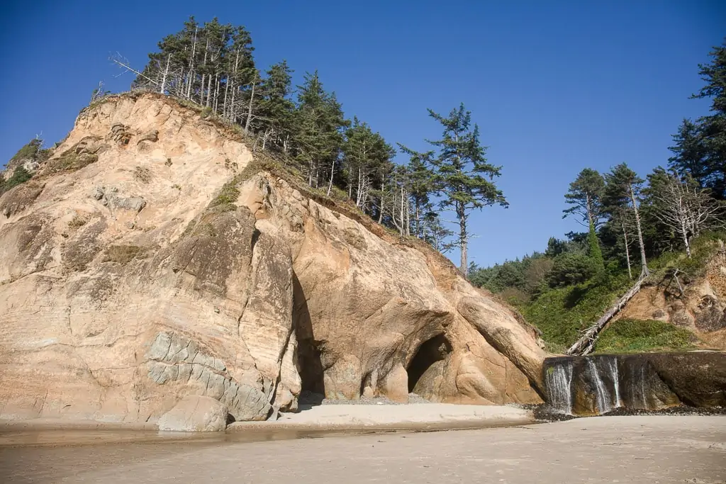 Things to do at Cannon Beach