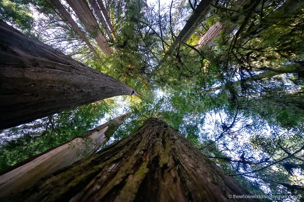 National Parks near San Francisco