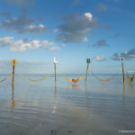Things to do in Holbox