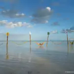 Things to do in Holbox