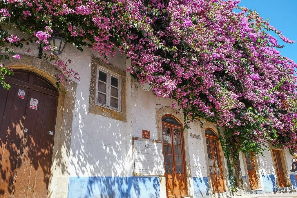 Renting a Car in Portugal