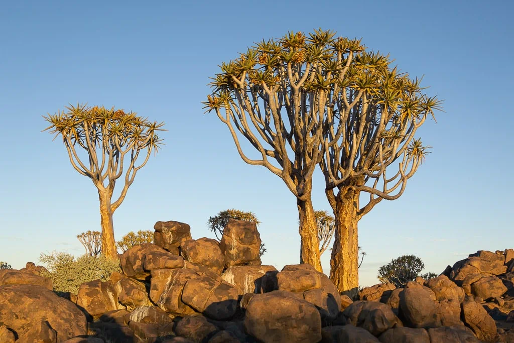 Namibia Itinerary