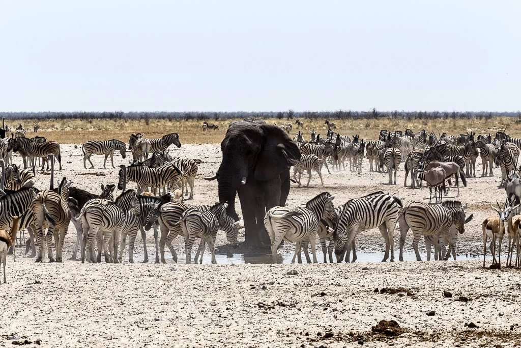 Namibia Itinerary