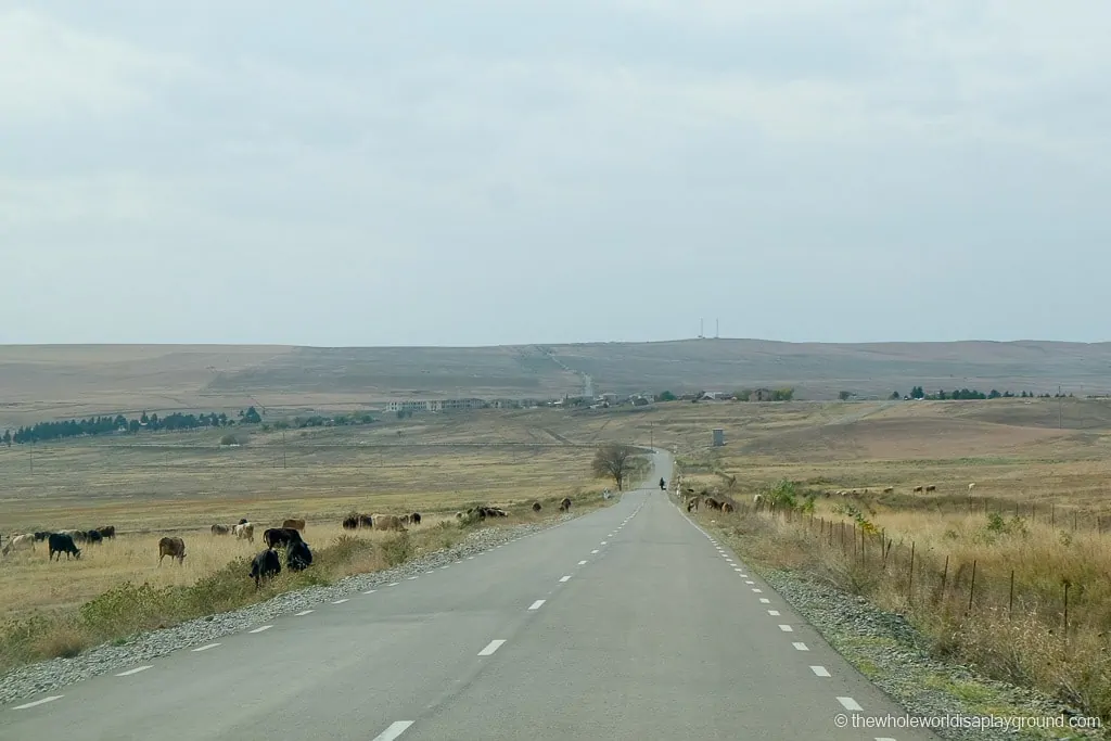 Renting a Car in Tbilisi