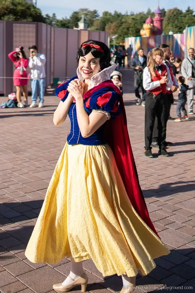 Disneyland Paris Disney Princess