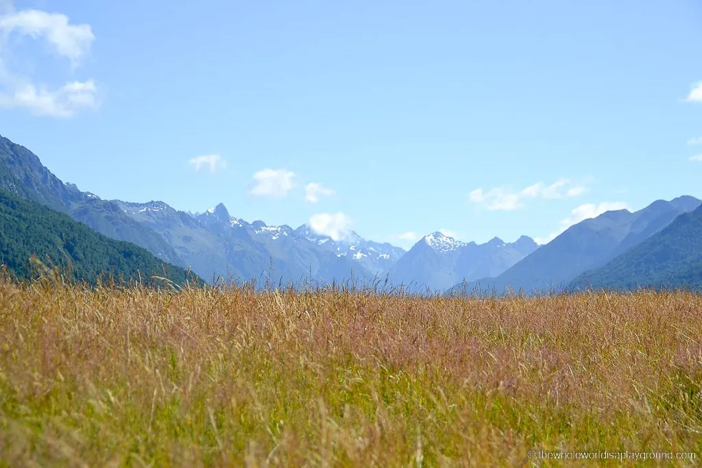 Renting a Car in New Zealand