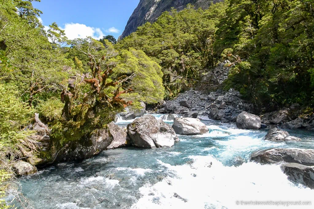 Renting a Car in New Zealand