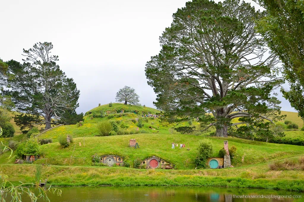 Renting a Car in New Zealand