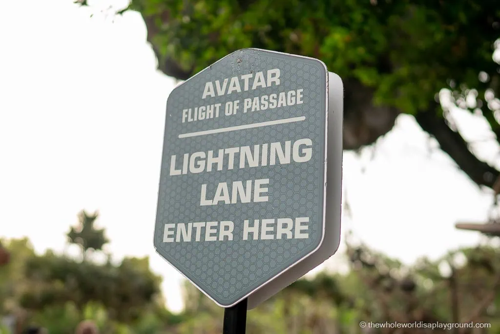 Animal Kingdom Early Entry Strategy