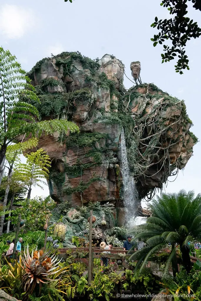 Animal Kingdom Early Entry Strategy