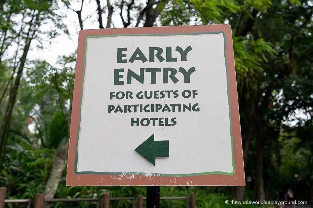 Animal Kingdom Early Entry Strategy