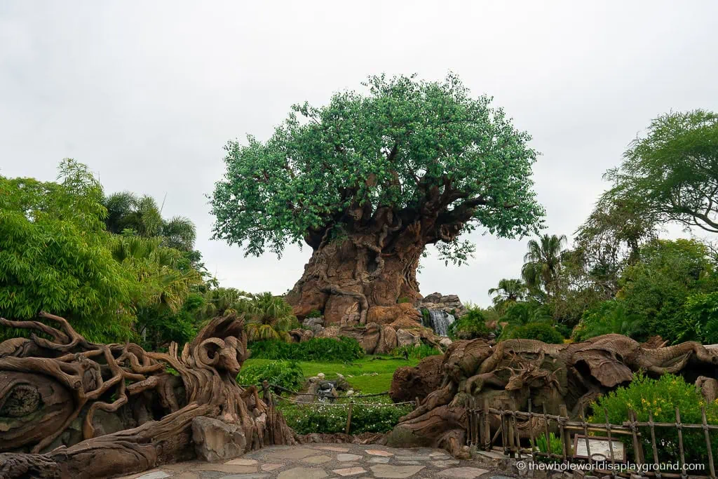 Animal Kingdom Early Entry Strategy