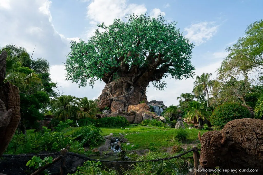 Animal Kingdom Early Entry Strategy