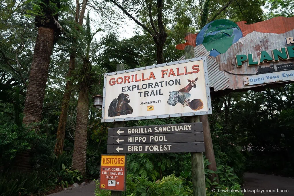 Animal Kingdom Early Entry Strategy