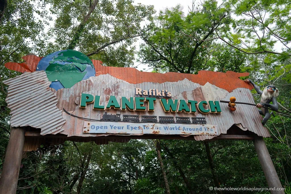 Animal Kingdom Early Entry Strategy