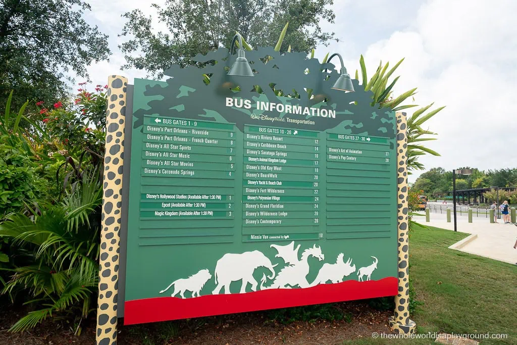 Animal Kingdom Early Entry Strategy