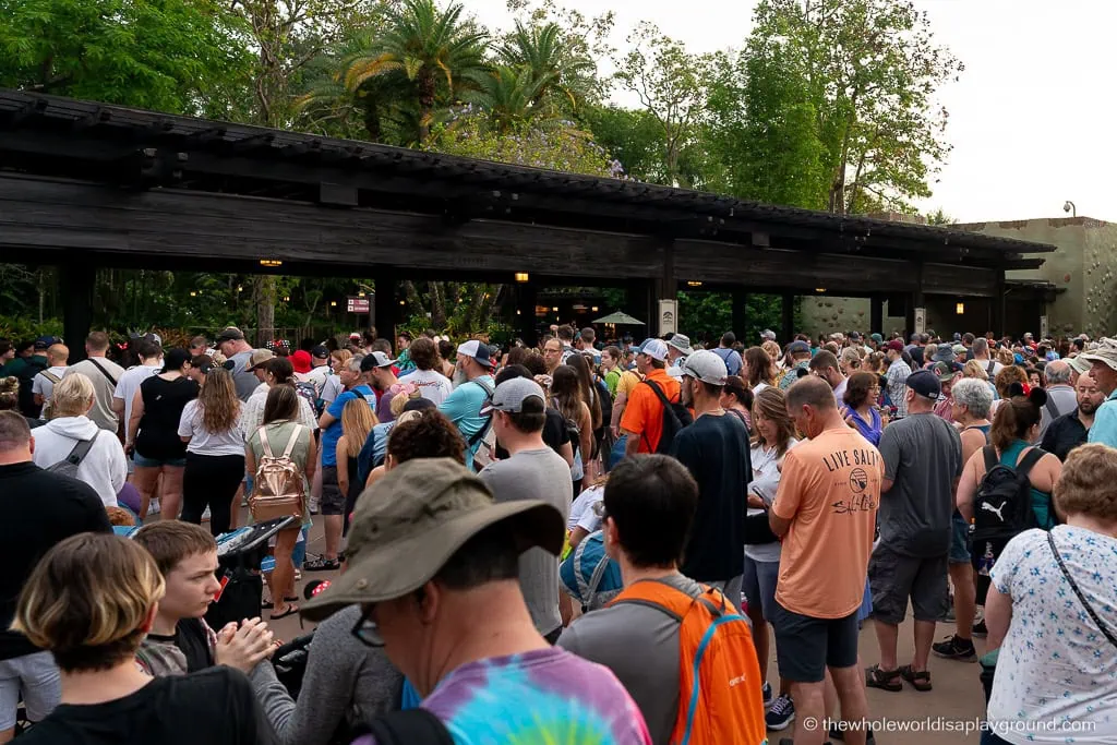 Animal Kingdom Early Entry Strategy