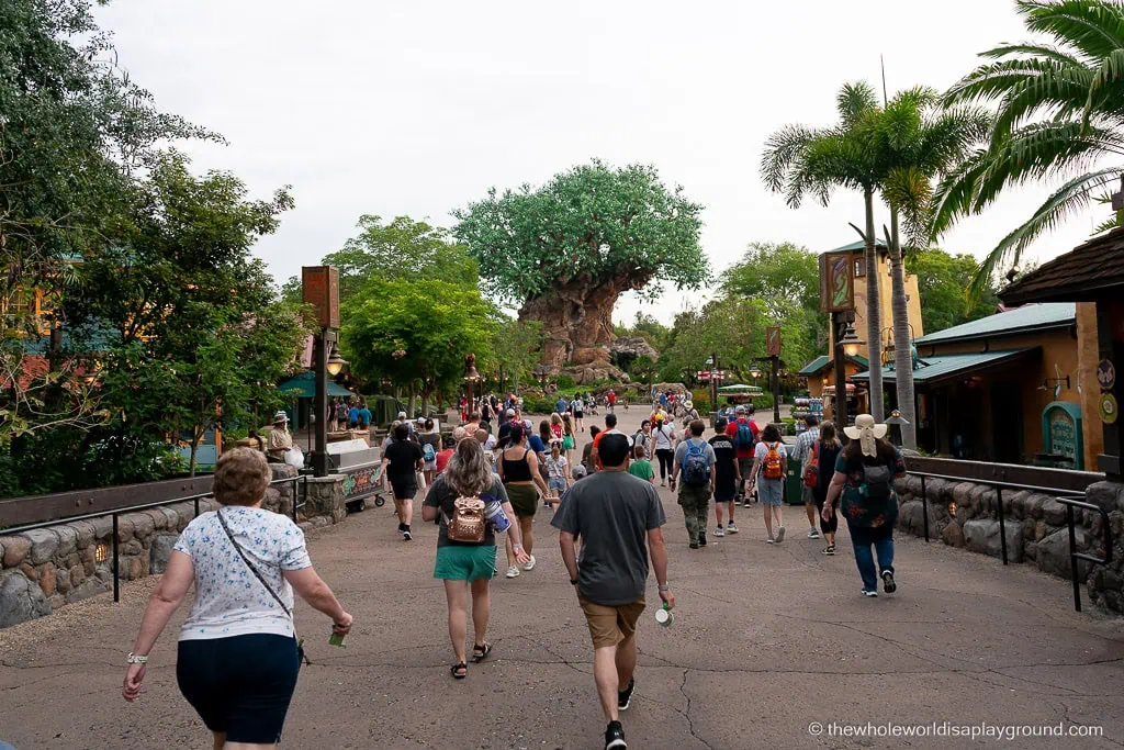 Animal Kingdom Early Entry Strategy
