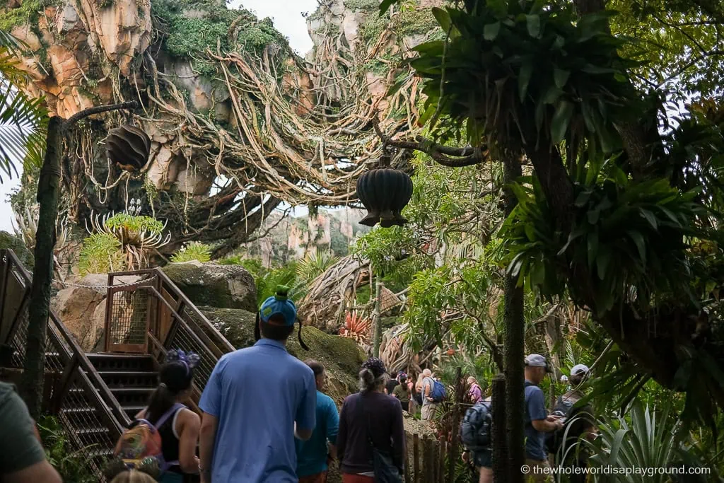 Animal Kingdom Early Entry Strategy
