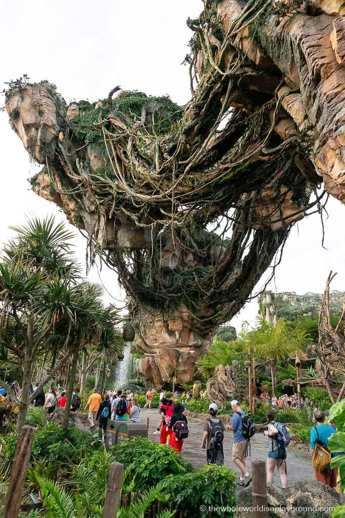Animal Kingdom Early Entry Strategy