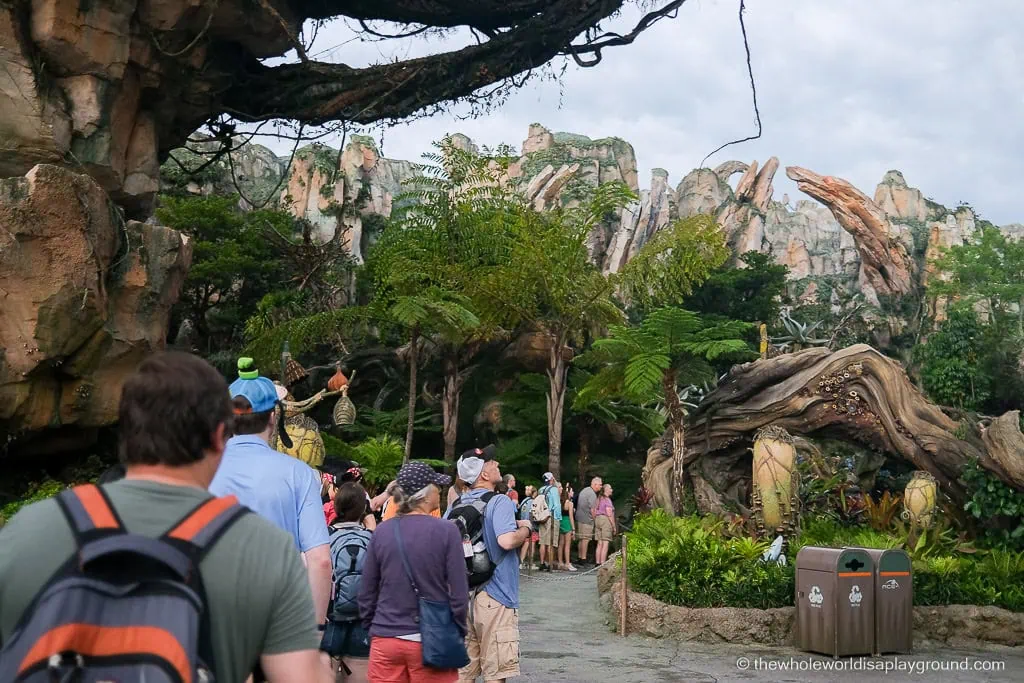 Animal Kingdom Early Entry Strategy