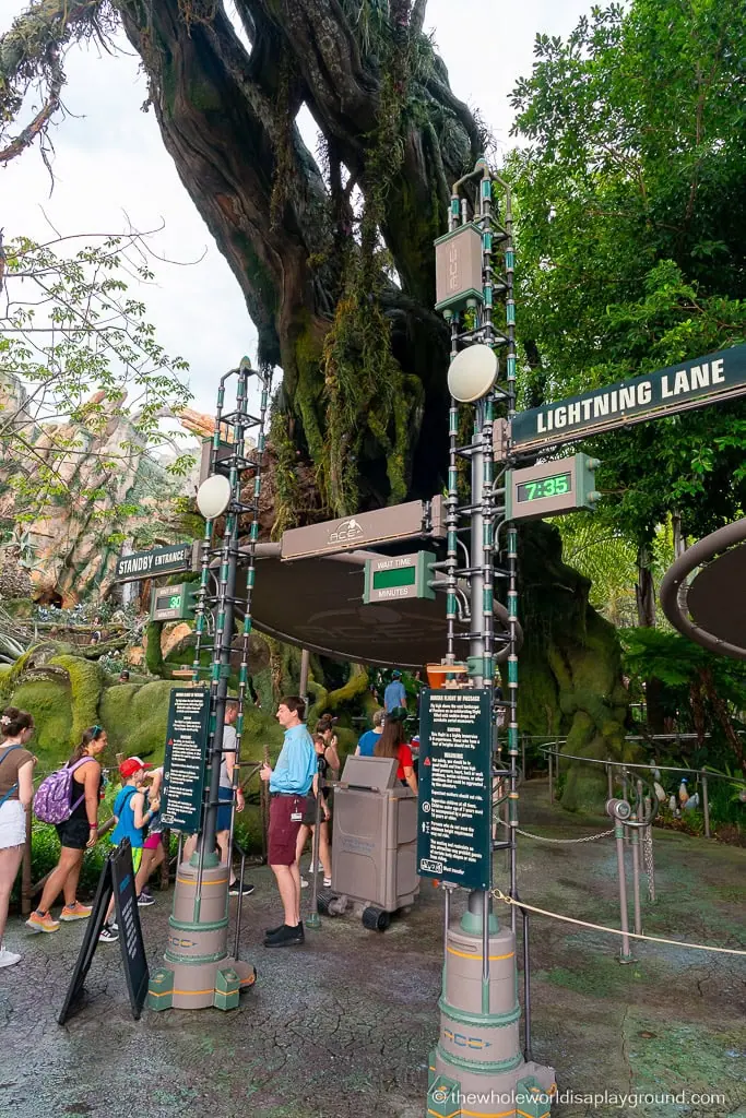 Animal Kingdom Early Entry Strategy