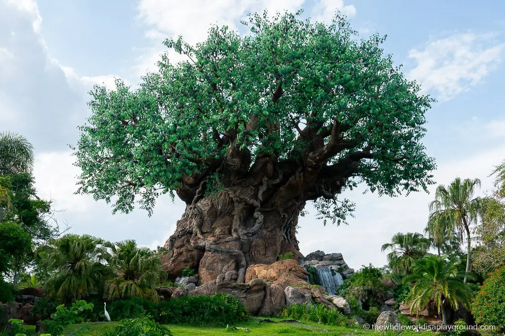 Best Animal Kingdom Snacks