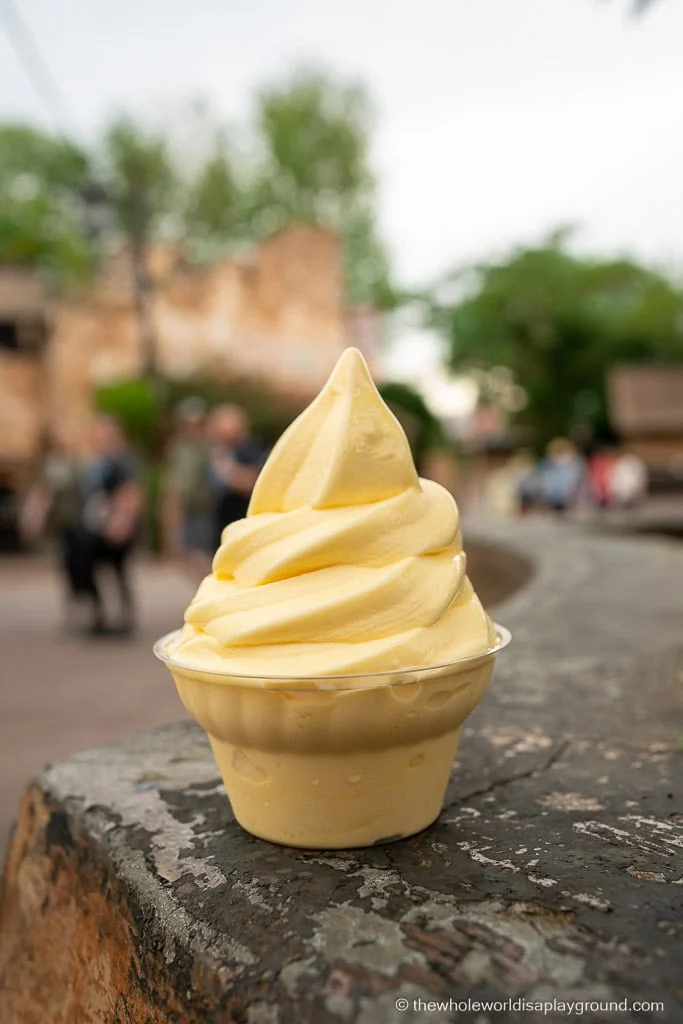Best Animal Kingdom Snacks