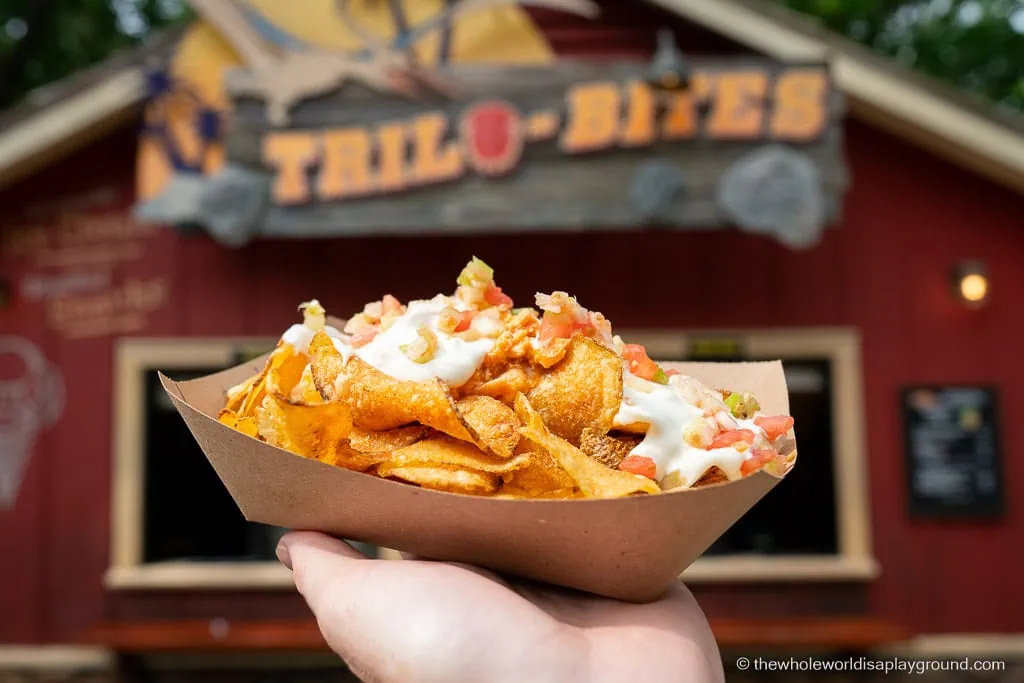 Best Animal Kingdom Snacks