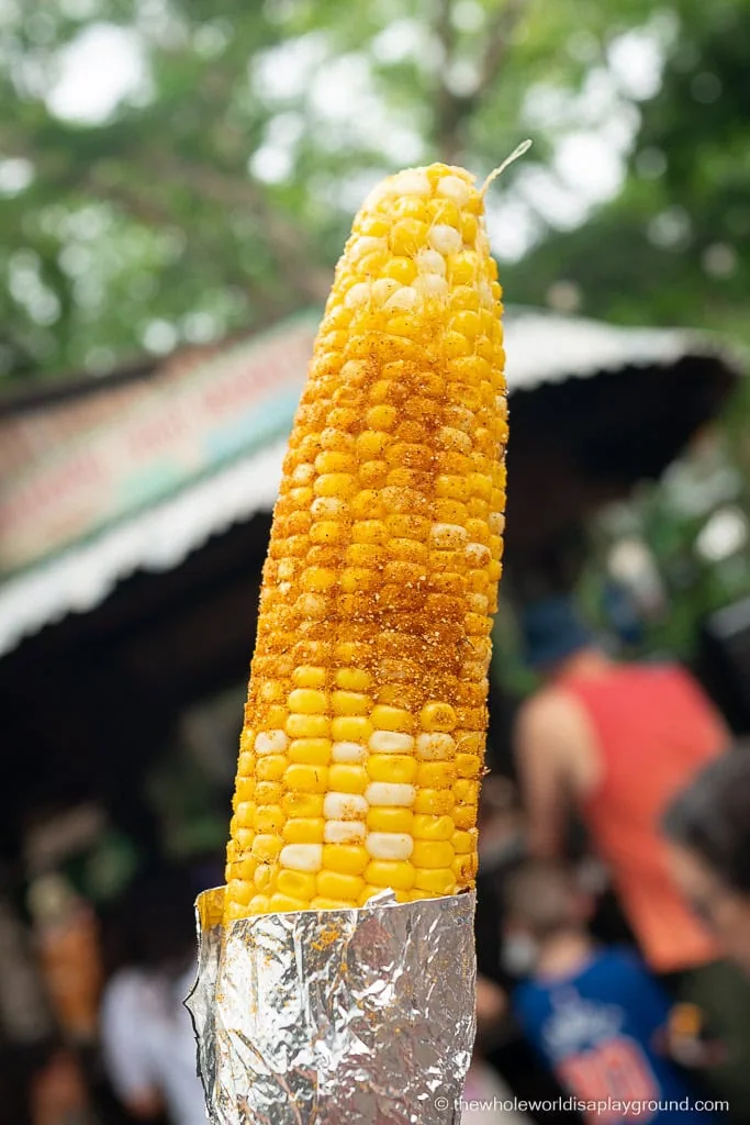 Best Animal Kingdom Snacks