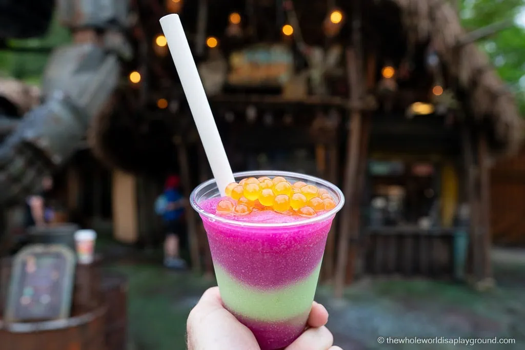 Best Animal Kingdom Snacks