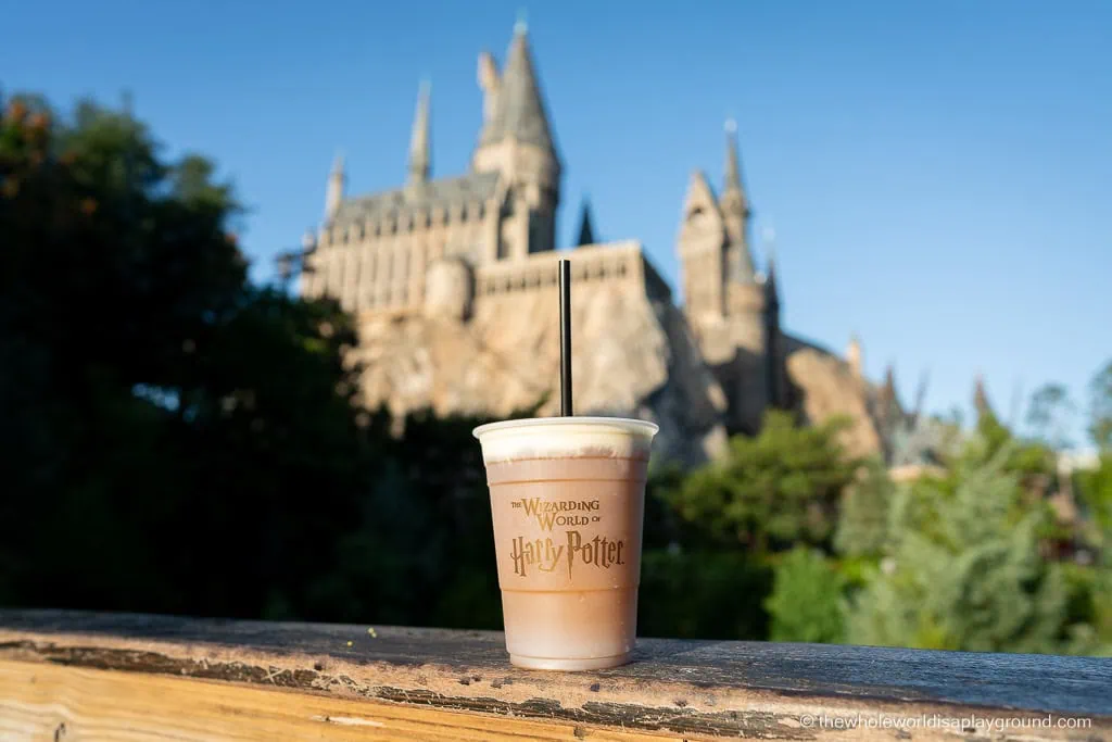 Best Snacks Universal Orlando