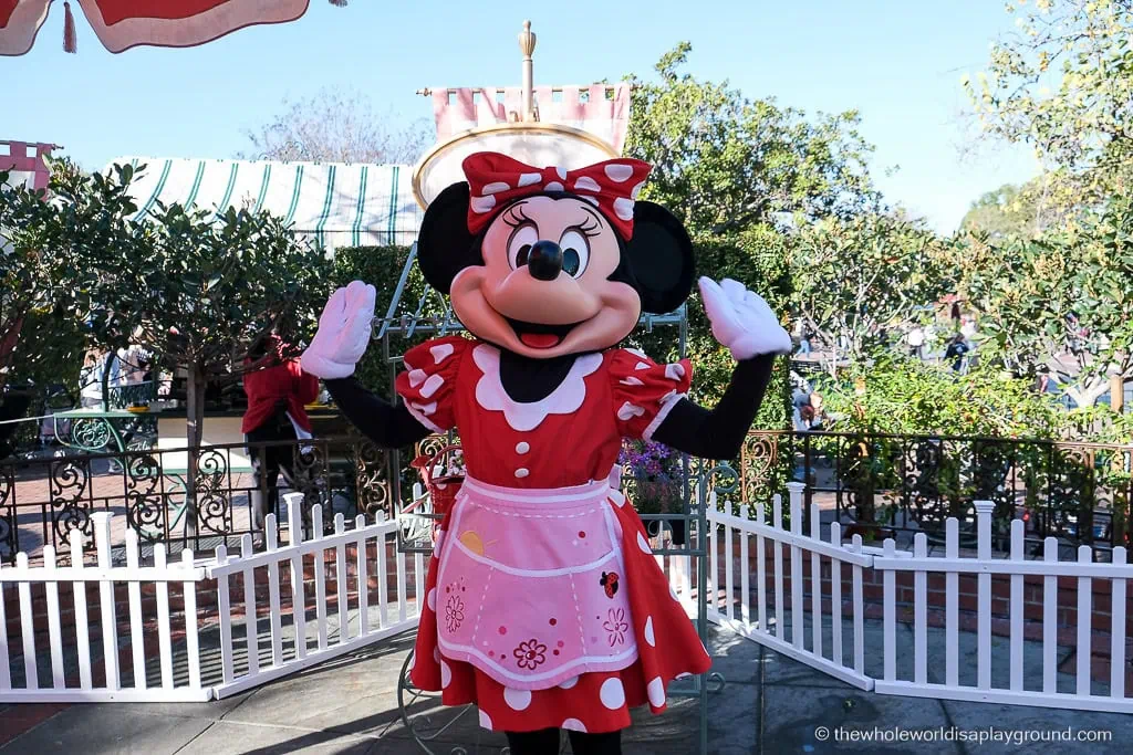Disneyland California Early Entry Strategy