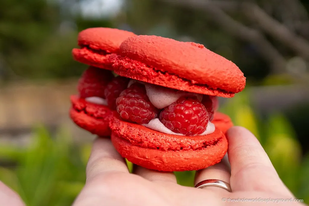 Disneyland California Snacks