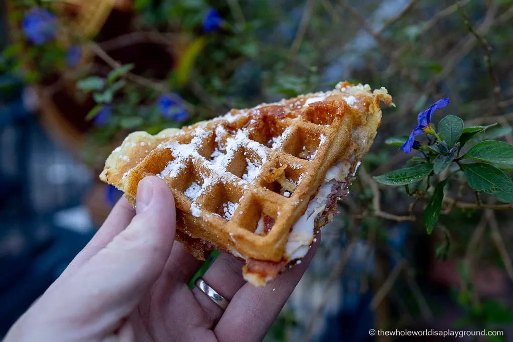 Disneyland California Snacks