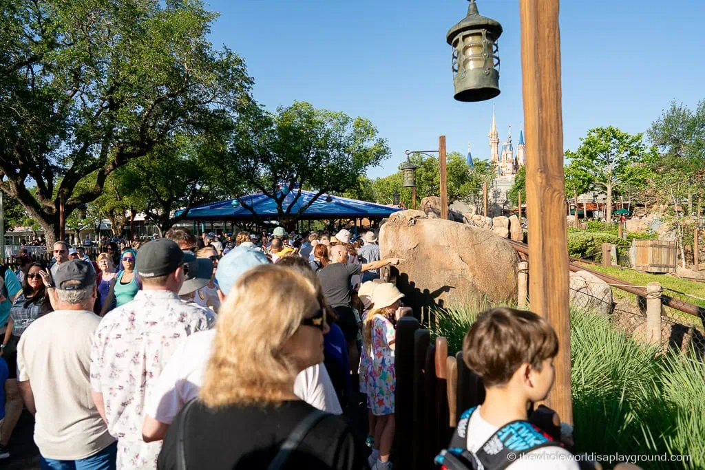 Magic Kingdom Early Entry