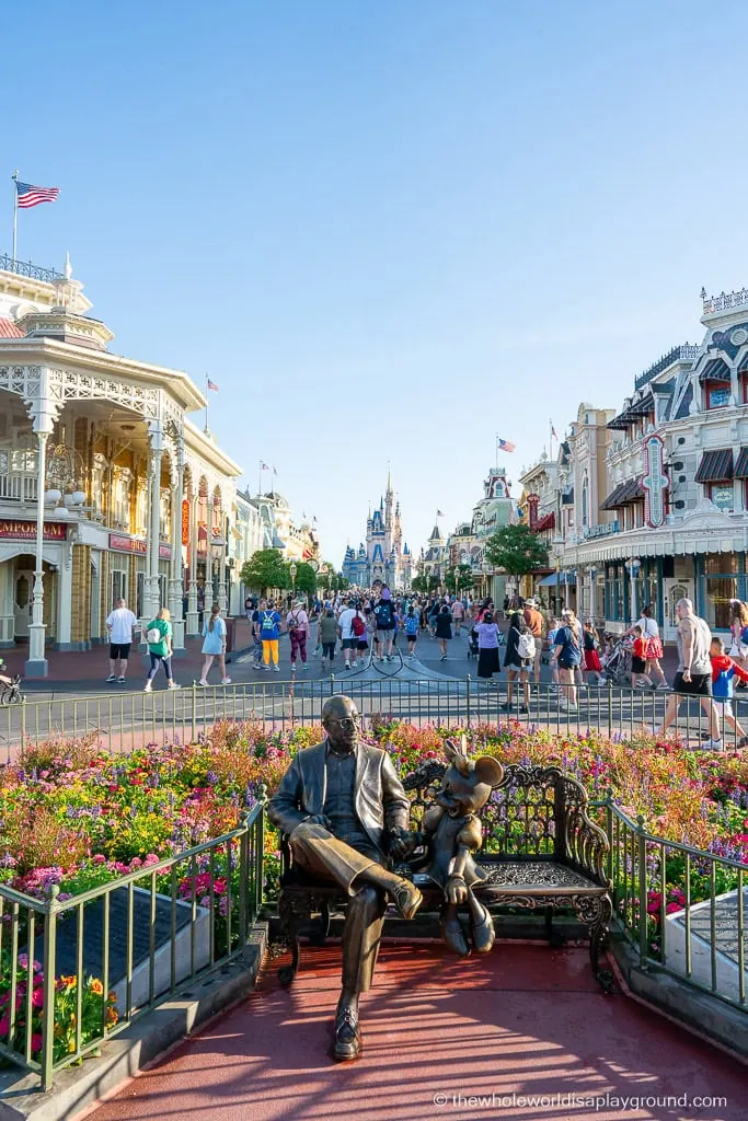 Magic Kingdom Early Entry