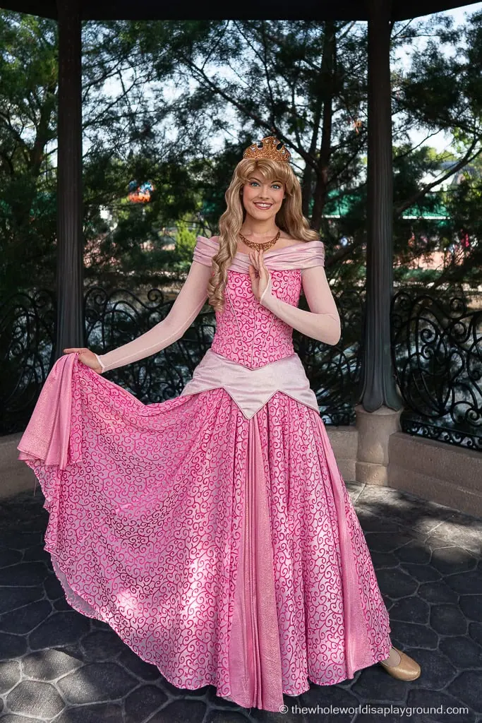 Meeting the Disney Princesses in Disney World