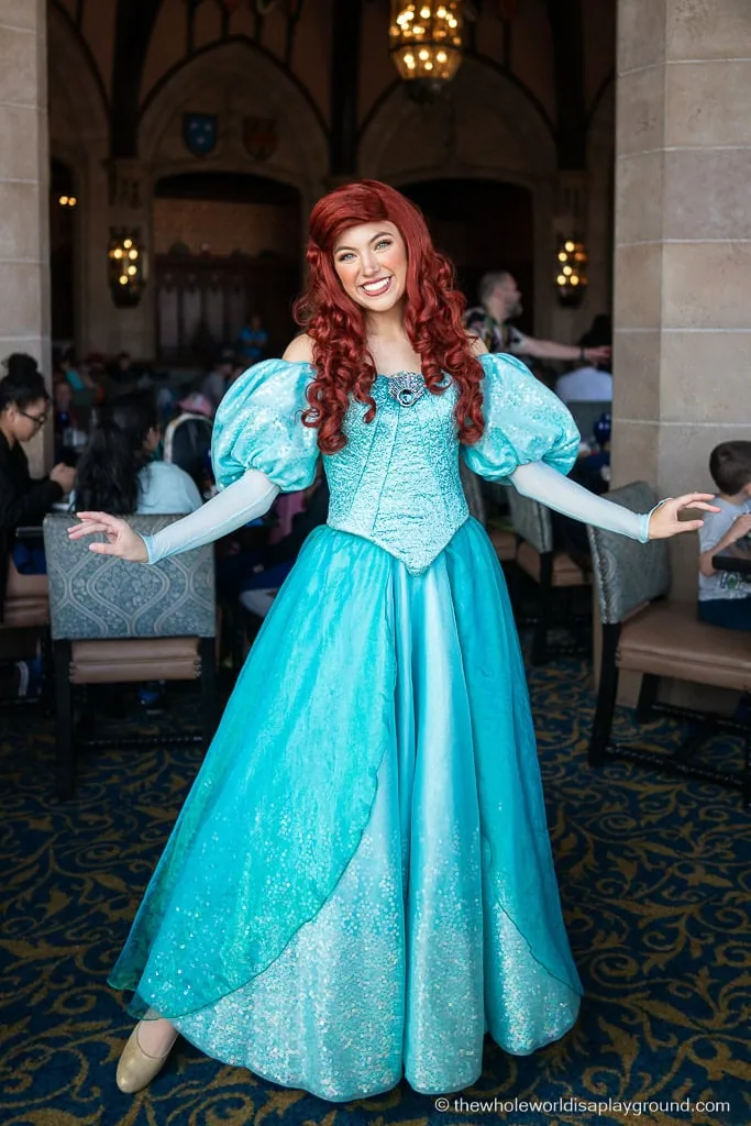 Meeting the Disney Princesses in Disney World